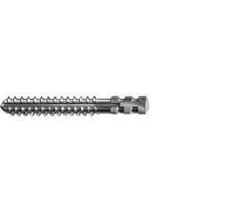 Čep BKS L11mm 1