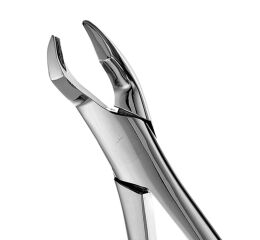 Forceps #210S SM 3 Molar