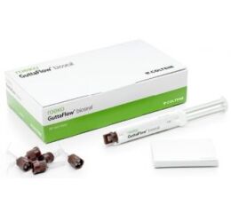 GuttaFlow Bioseal Standard Set