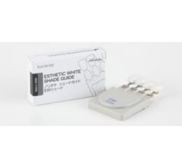 Esthetic White vzorník