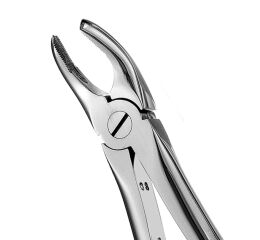 Forceps #17 Europ. SM right Molar