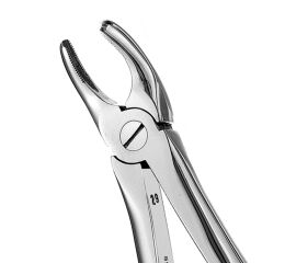 Forceps #18 Europ. SM left Molar