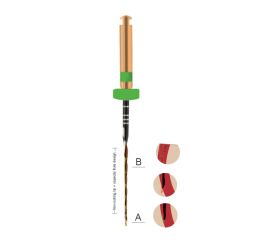 Dual shaper gold ultimate 19mm SX 5ks