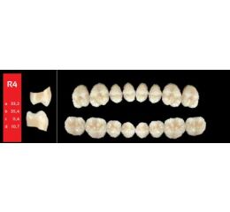 Ref-Line Posterior A3 R4 horní zuby