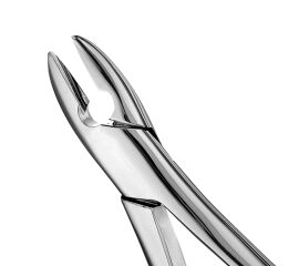 Forceps #1 SM anterior