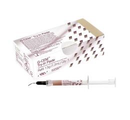 G-Cem Try-In Paste
