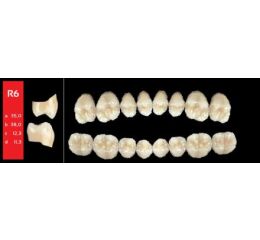 Ref-Line Posterior A2 R6 dolní zuby