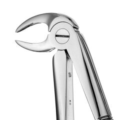 Forceps #33 Europ., IM Roots