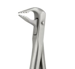 Diamantové kleště dolní  Anterior