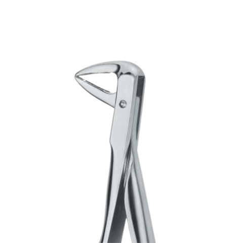 Diamantové kleště č.  74. dolní kořenové