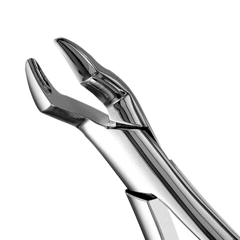 Forceps #10S SM Molar