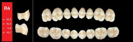 Ref-Line Posterior A2 R4 dolní zuby