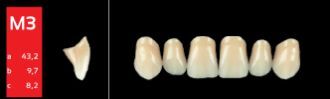 Ref-Line Anterior A3 M3 zuby