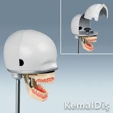 PK-1 fantomová hlava bez artikulátoru