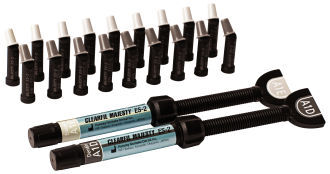 Clearfil Majesty ES-2 Premium 1,8g Gray