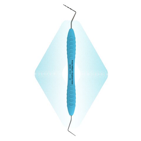 Sonda  William + Explorer Holst