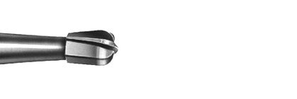 Tvrdokov hruška  D19mm 009