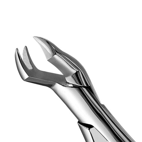 Forceps #88R SM 1-2 Molar, Point right
