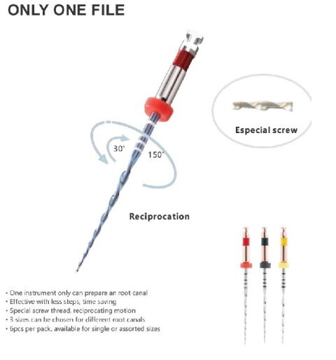 Only One File blue 31mm, R40, 6ks