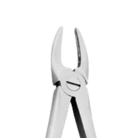 Diamantové kleště č.  29. horní frontální