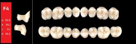 Ref-Line Posterior D4 F4 dolní zuby