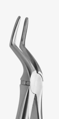 KLEŠTĚ BLADE BEAKS Č.51