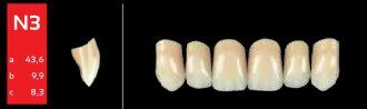 Ref-Line Anterior A1 N3 zuby