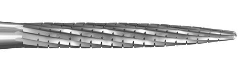 Tvrdokov labiální, dlouhá  D21mm 012