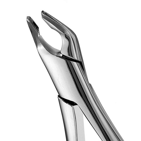 Forceps #151, Apical, universal, inferior