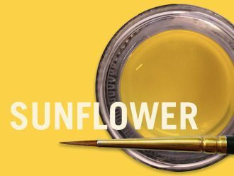 MiYo Trans Sunflower Paste Fluor, 4g