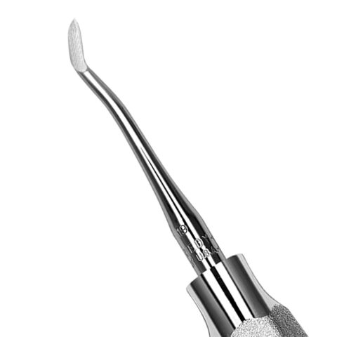 Elevator #19 hdl #510, premolar, molar