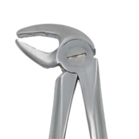 Kleště č.13K Premolárové, dolní