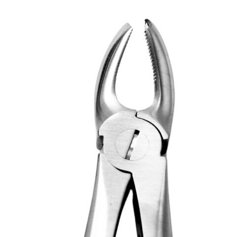 Kleště č.17. horní molárové, pravé