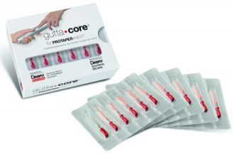 GuttaCore Pink pro Protaper Next, 5x6ks X2