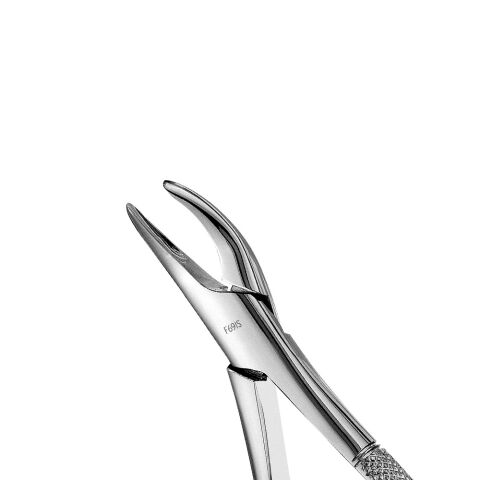 Forceps Atlas #69 Tomes, Upper & Lower Roots