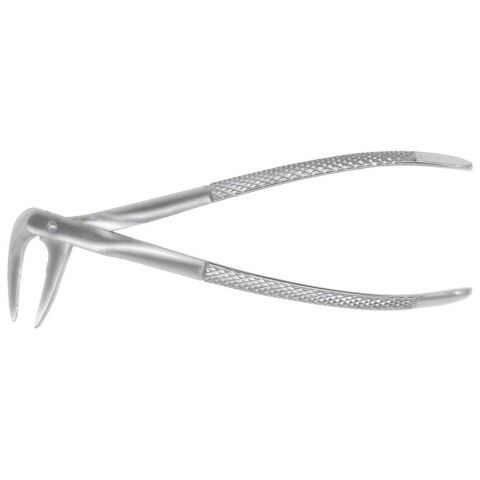 Forceps #233 Europ., IM Roots, EU