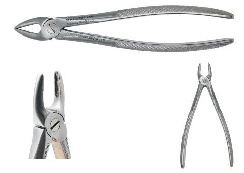 Kleště řezákové/kořenové, horní