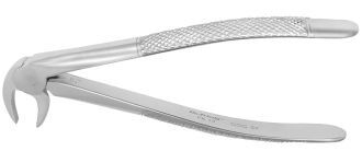 Kleště č.13 Europ. IM premolar