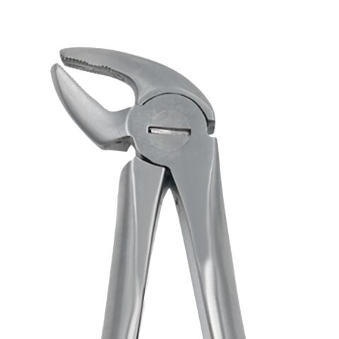 Kleště č.38 řezákové a špičáky, dolní