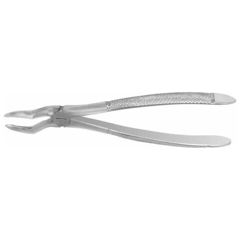 Forceps #51 Europ. SM Roots, EU