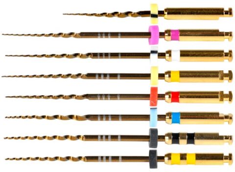 PoloTaper Gold 31 mm
