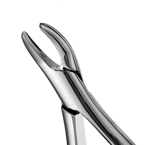 Forceps Hull #101 SM Premolar