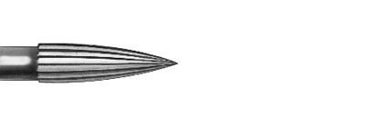 Tvrdokov plamen  D19mm 012
