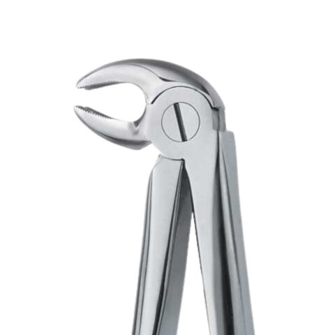 Kleště č.23. dolní molárové, pravé