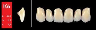 Ref-Line Anterior B1 K6 zuby