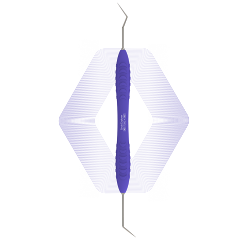 Endo Explorer