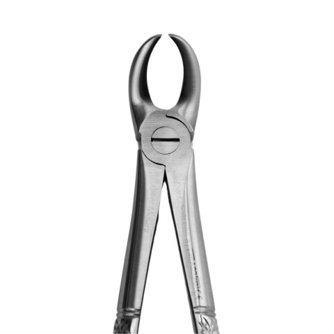 Kleště č.87. dolní molárové