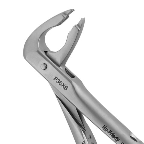 Forceps #36 Atraumair, Lower Incisors and Canines