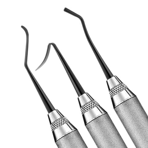 Goldfogel XTS Instruments Posterior Set