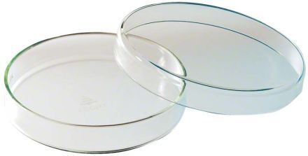 Petriho miska bez přihrádek, průměr 100mm